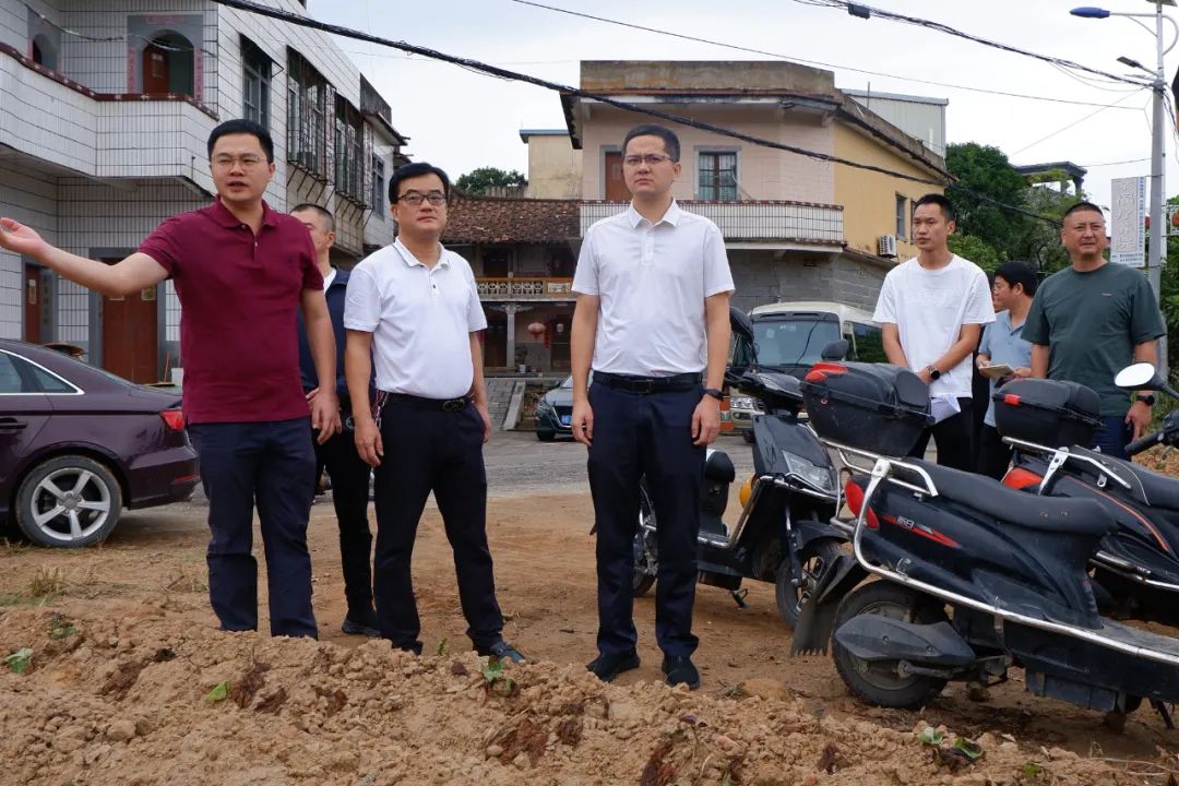 【主题教育•传承弘扬“四下基层”优良传统】区领导带队督导田长制、林长制工作