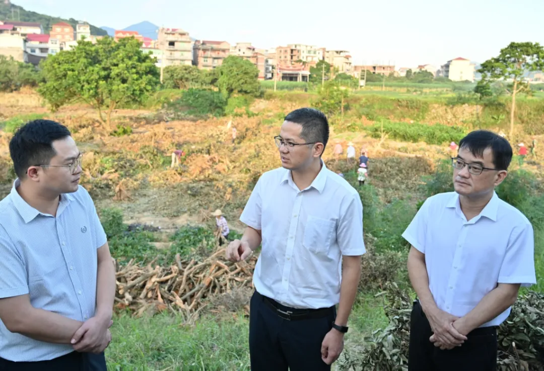 区领导带队调研田长制、林长制工作，督导推进耕地恢复及松材线虫整治工作